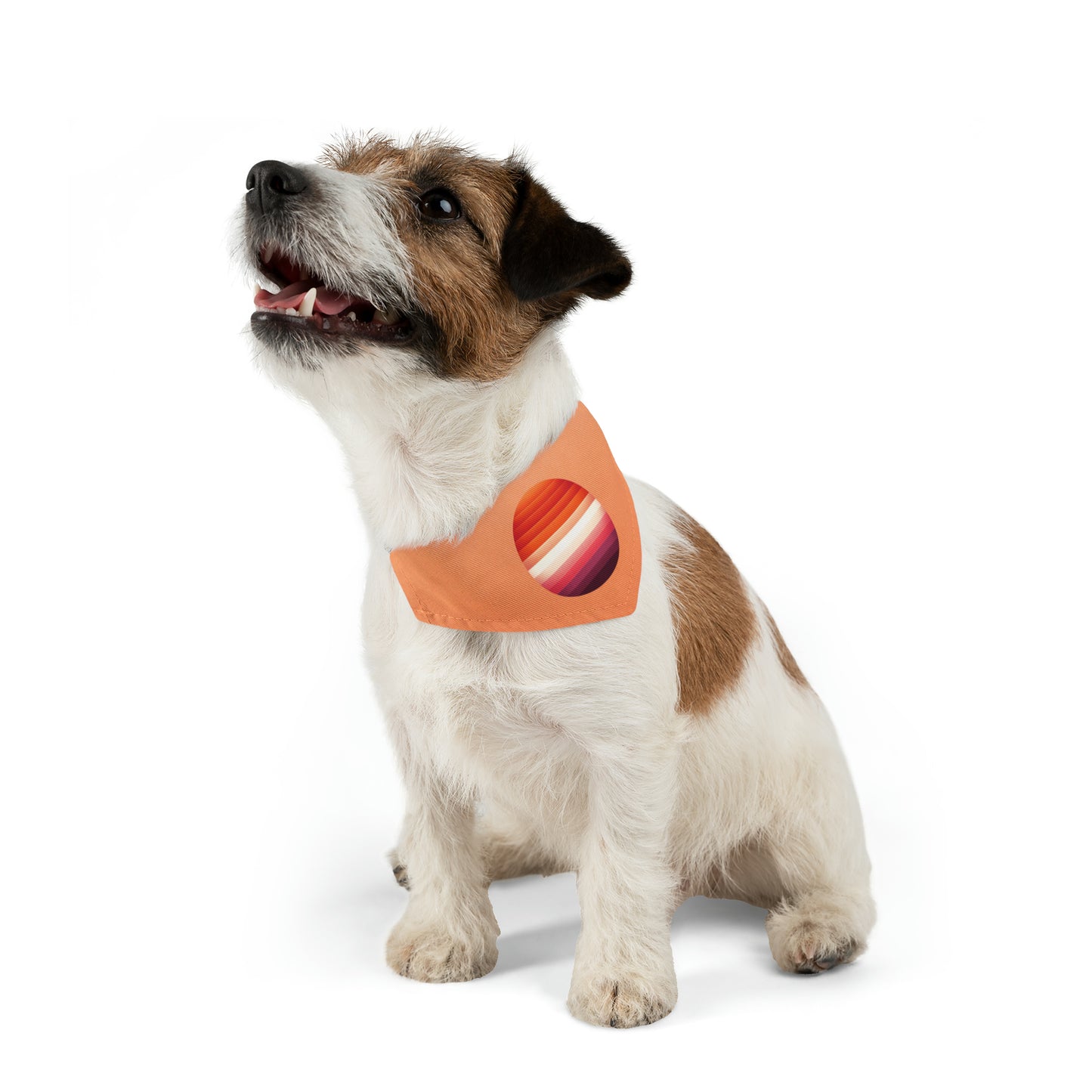 Pet Bandana Collar (Lesbian) - Prideful Pursuit